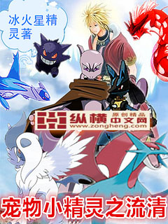 宠物小精灵之流清